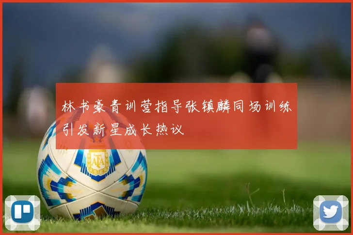 林书豪青训营指导张镇麟同场训练引发新星成长热议