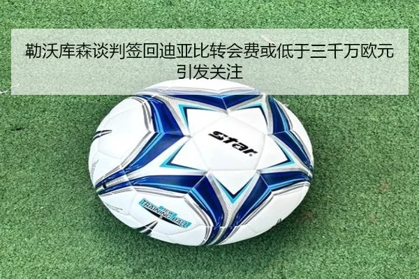 勒沃库森谈判签回迪亚比转会费或低于三千万欧元引发关注
