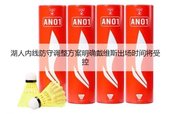 湖人内线防守调整方案明确戴维斯出场时间将受控