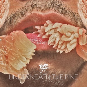 TORO-Y-MOI-UNDERNEATH-THE-PINE