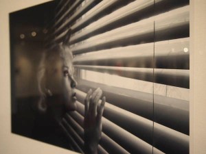 Photo by Brandon Foster