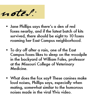 Screen_Shot_2013-10-30_at_7.10.46_PM